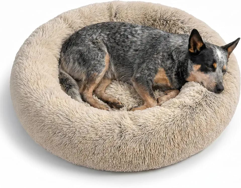 Best Friends by Sheri Original Calming Donut Dog Bed, Taupe, Medium, 30"