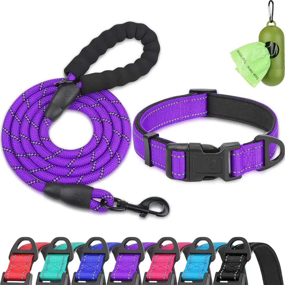 Dynmeow Reflective Dog Collar and Leash Set for Medium Dogs, Purple