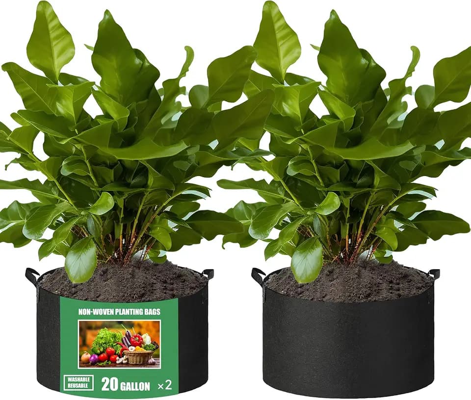 2-Pack 20 Gallon Fabric Grow Bags with Handle, Heavy Duty 300G Thickened Nonwoven with Handles and Reusable, Suitable for Garden Vegetables,Fruits and Flowers(Black)