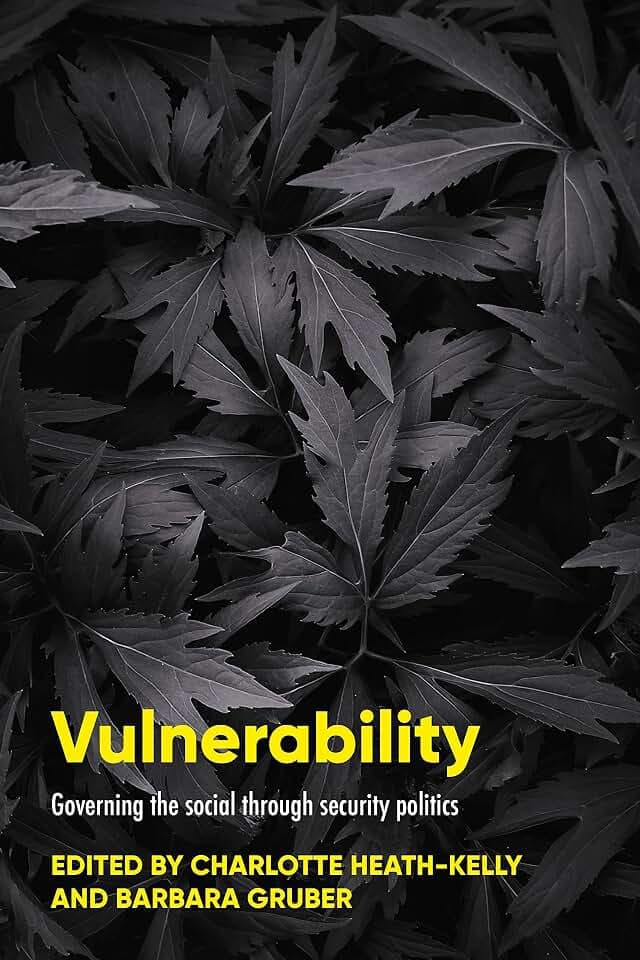 Vulnerability: Governing the social through security politics