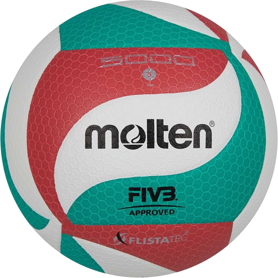 Molten Volley Ball