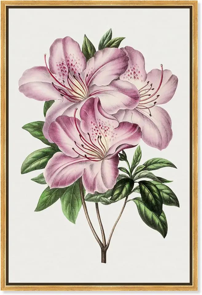 Art Remedy Botanical Prints Canvas, 20" x 30", Gold Frame, Pink azalea Floral