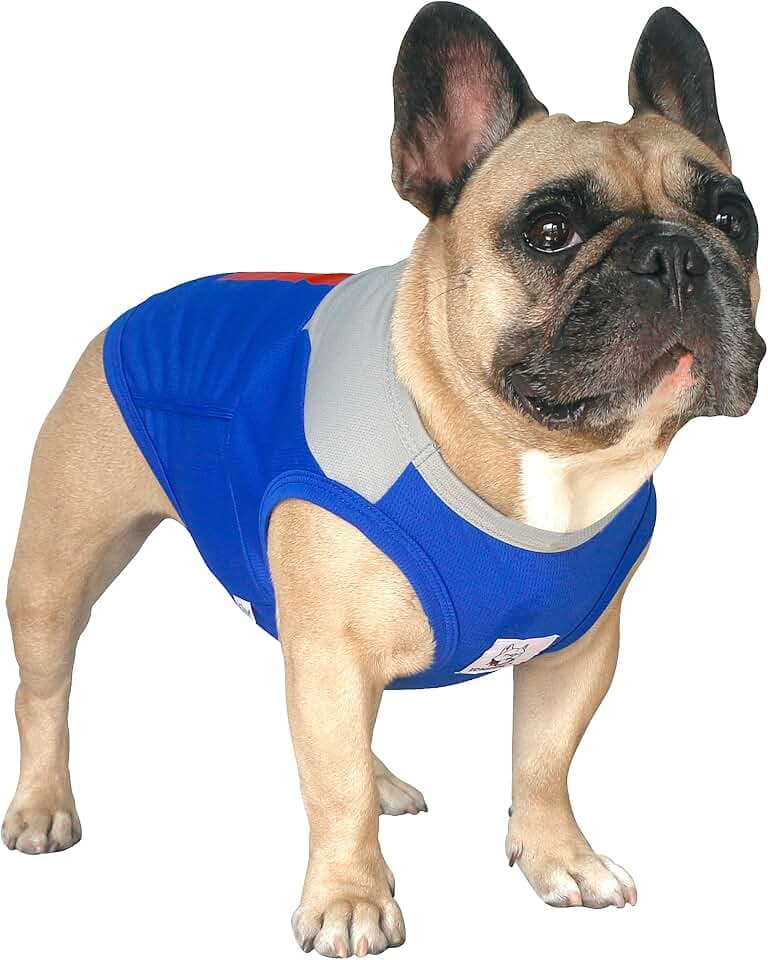 iChoue English Bulldog Summer Cooling Shirts Vests Grey Blue - XLarge