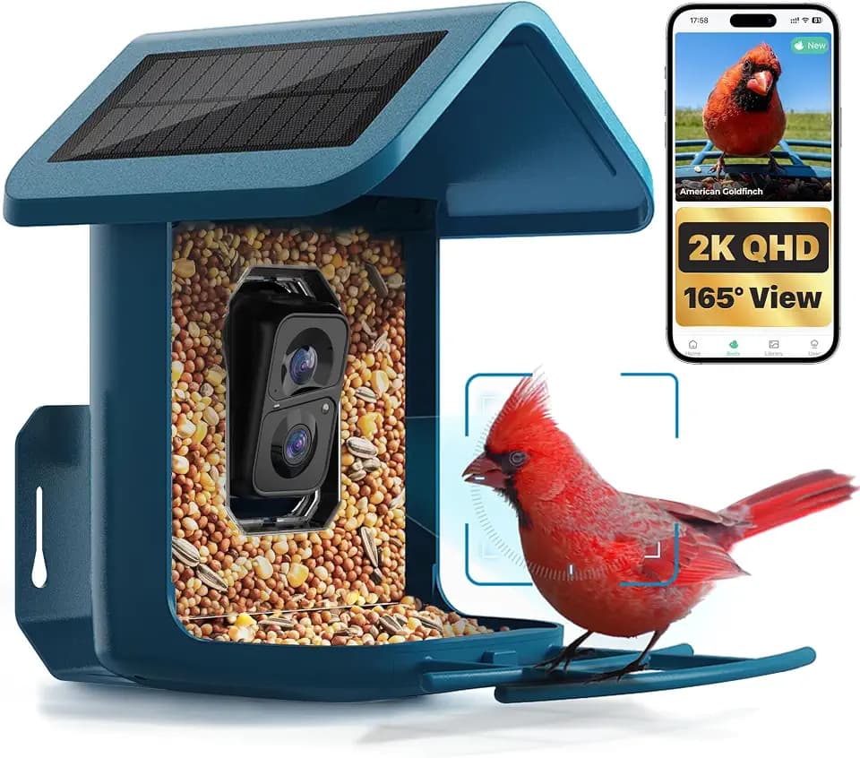 Smart Bird Feeder with Camera Solar Powered, 2K Live Stream for Backyard