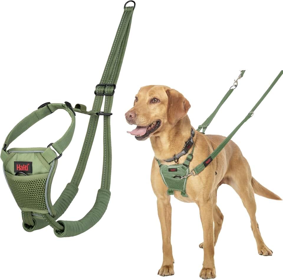 Halti Anti-Zug Hundegeschirr | Größe M, Waldgrün