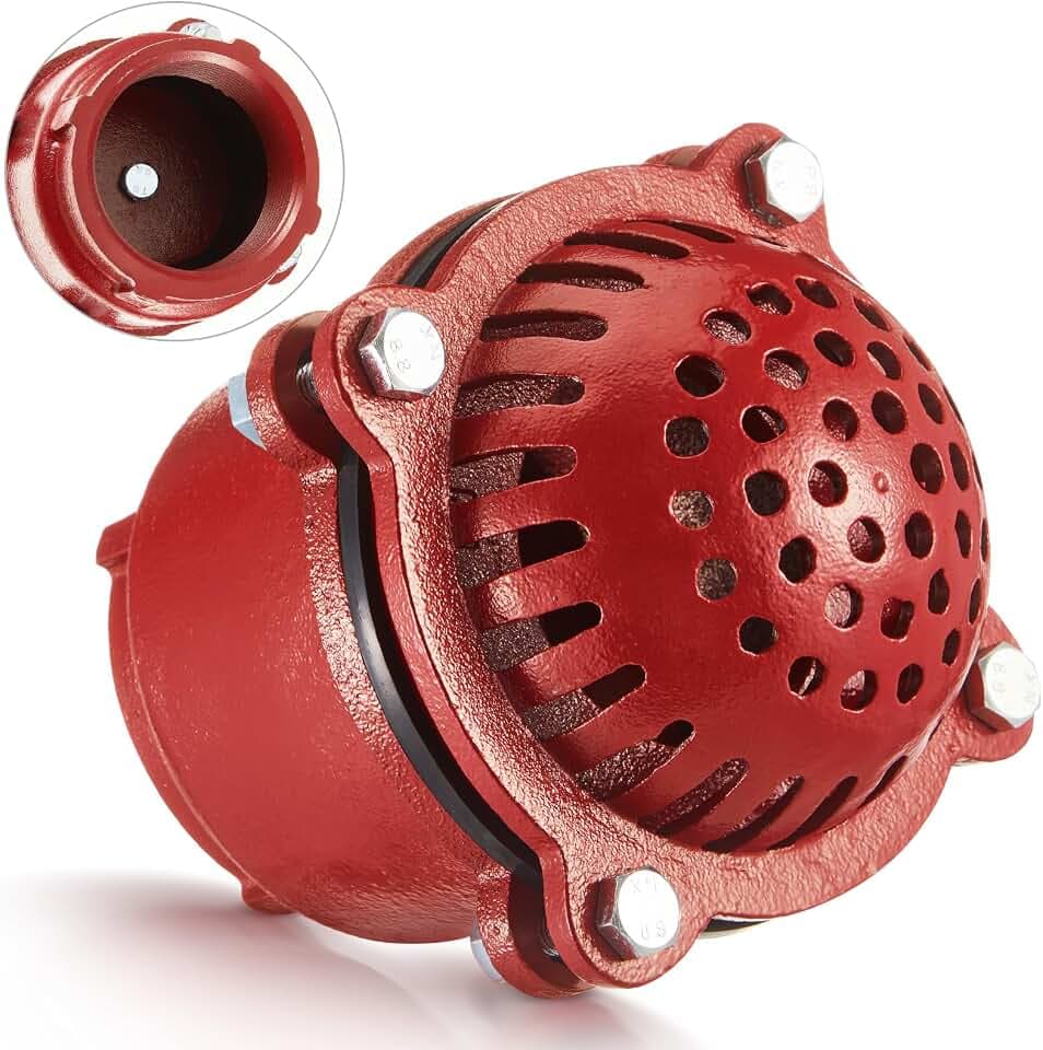 MorningRo 4 Inch Cast Iron Foot Valve NPT Painted Carbon Threaded Foot Valve for Water Service Only