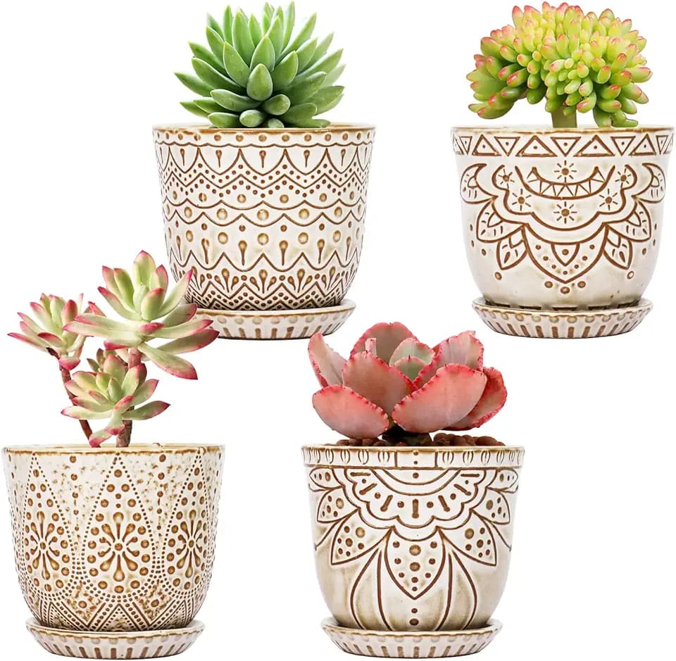 Gepege Ceramic Succulent Pots, 4 Inch Small Plant Pots with Drainage