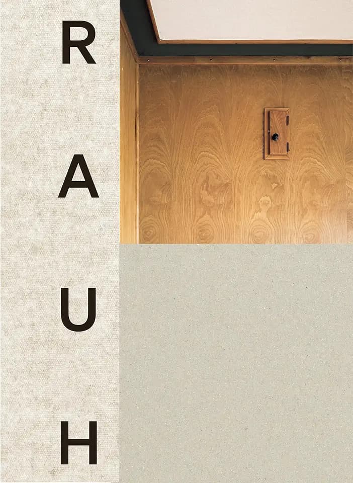Georg Rauh: Das Bauhaus in der Schweiz, die hölzerne Moderne und Genossenschaftsbauten (Monografie/Monograph)