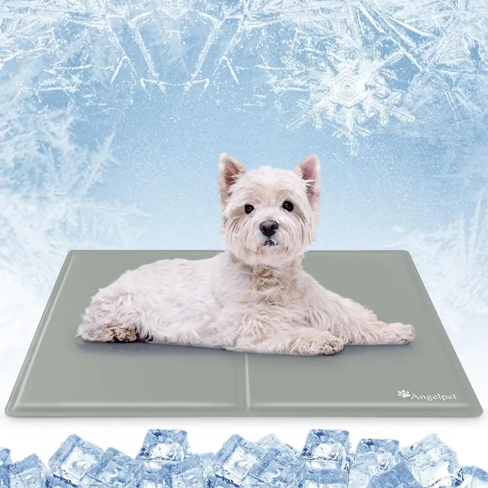 Angelpet Kühlmatte Hund, M 65x50cm – Ungiftige Selbstkühlende Gelmatte Bett, Langlebige wasserdichte Kühlmatte für Hunde & Katzen im Sommer, Kein Wasser oder Kühlen Erforderlich (Grau)