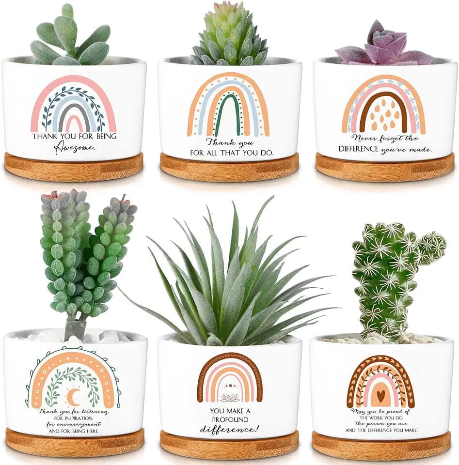 Sieral 6 Pcs Housekeeping Week Appreciation Gifts Bulk Ceramic Pot