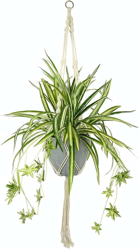 Künstliche Wasserlilie Chlorophytum Comosum Atlantic Grünlilie Grünpflanzen Spinne Pflanze Kunstblume Blume Kunstpflanze Seidenblume Textilblume Deko Balkon Zimmerpflanze