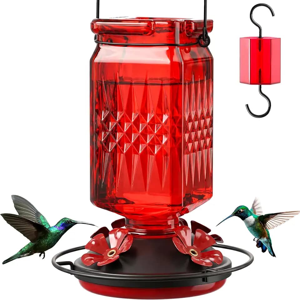 20oz Glass Hummingbird Feeder for Outdoors Hanging, Bird Nectar Feeder with 4 Bee Guard Flower-Shaped Feeding Ports & Built-in Ant Moat, for Bird Lover, Red (1 Pack)