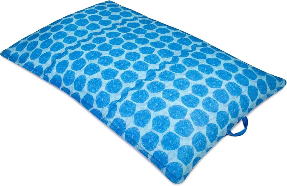 Big Joe Lagoon Lounger No Inflation Needed Pool Float
