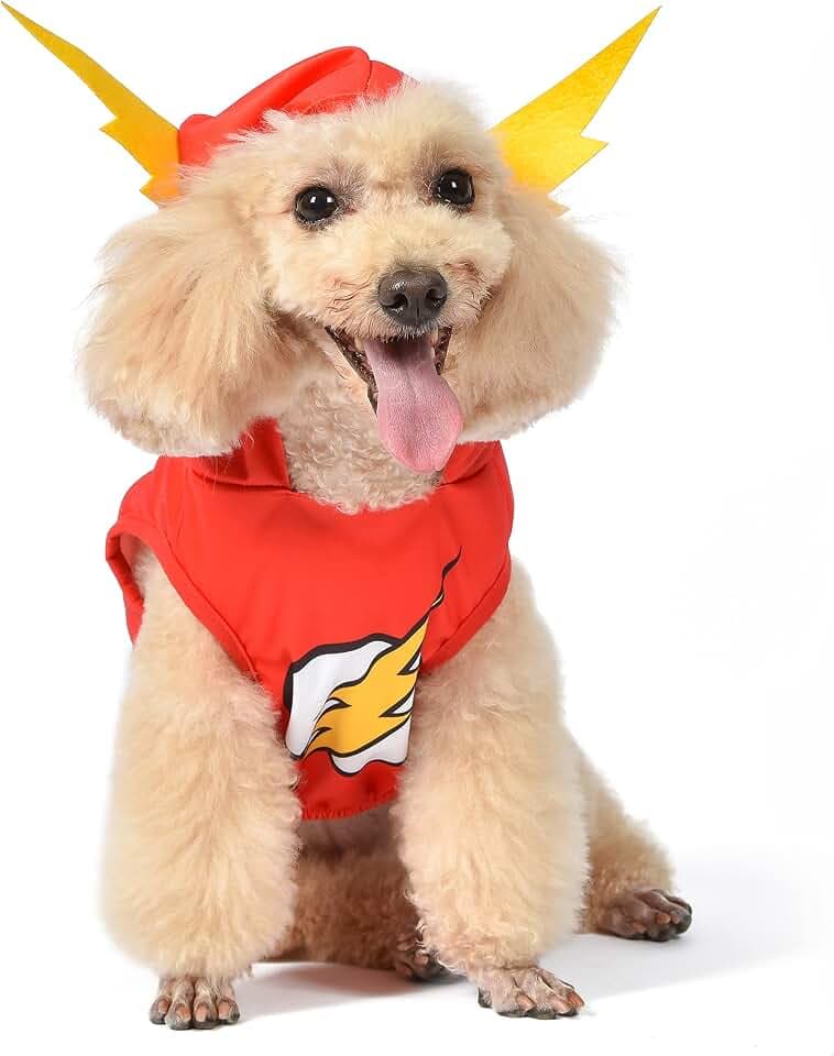 DC Comics for Pets The Flash Dog Costume, Extra Large