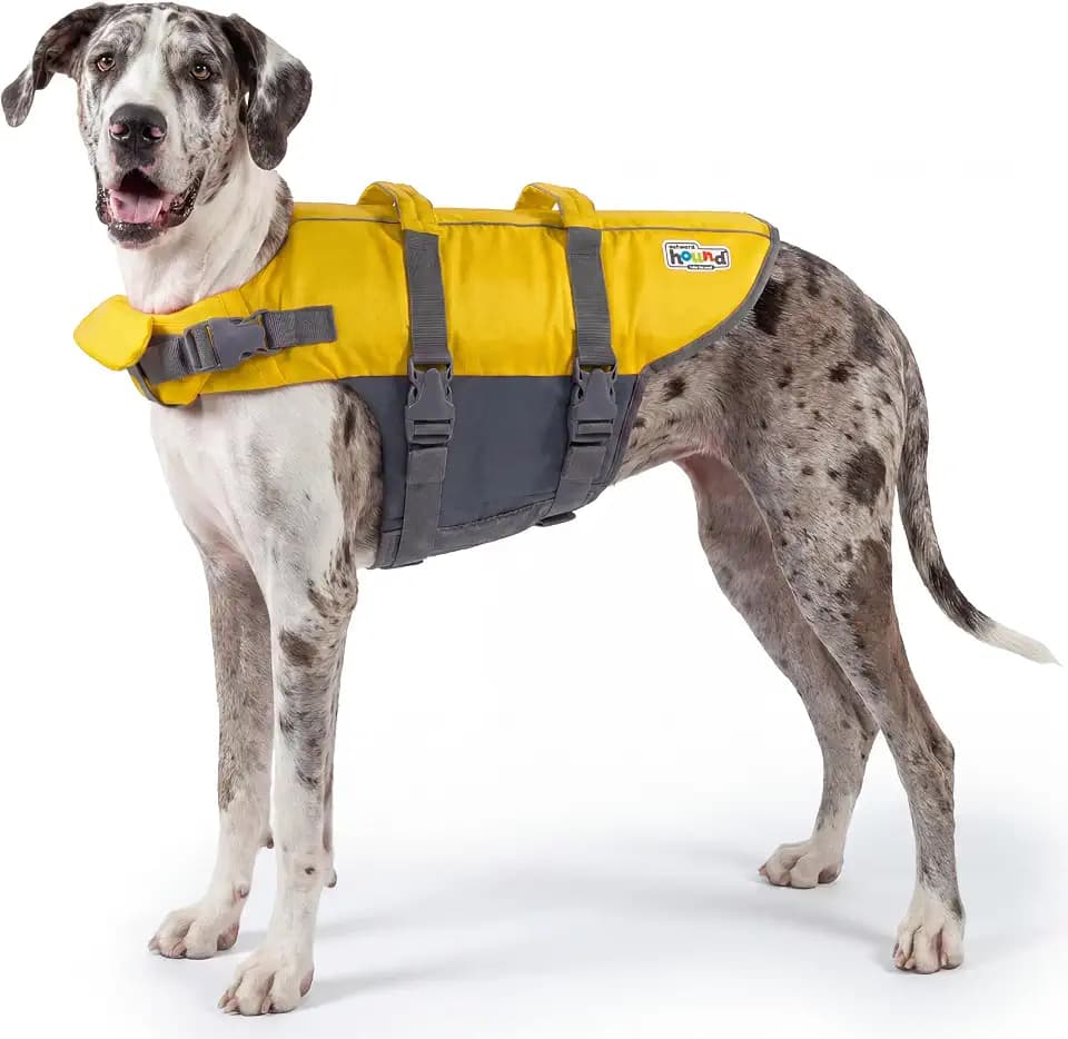 Outward Hound Granby Splash Dog Life Jacket, Life Vest, Yellow, XL