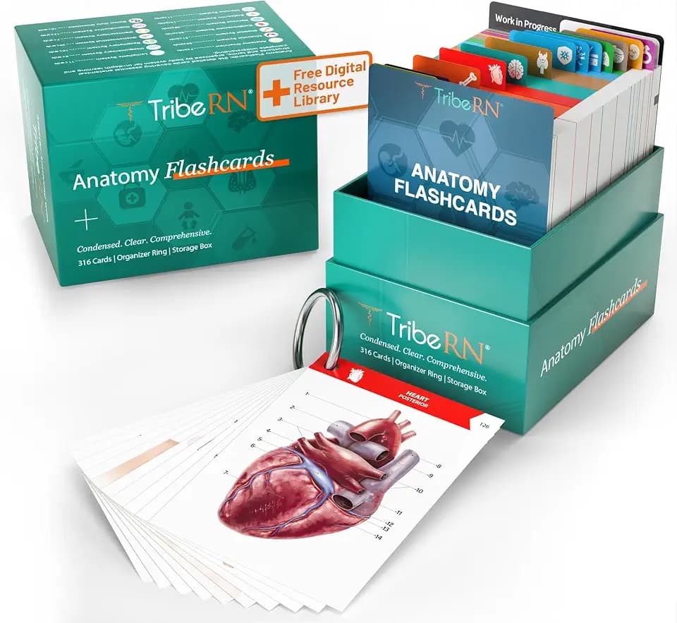 TribeRN Anatomy and Physiology Flash Cards – 320 Study Resources for Students – Human Anatomy & Physiology Study Tools – Medical, Nursing School Essentials – Durable & Easy to Use Flashcards