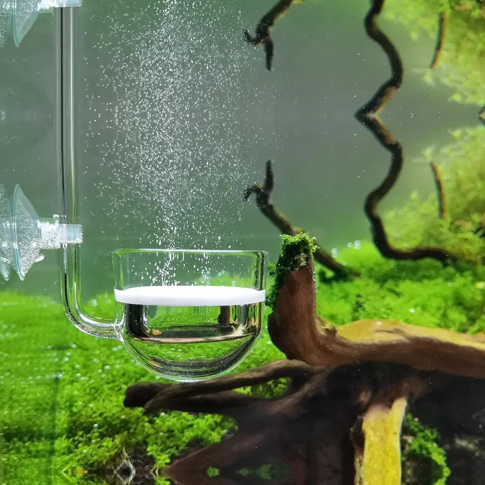 Musik Glas CO2 Diffusor für Aquarium Pflanze (Φ30mm)