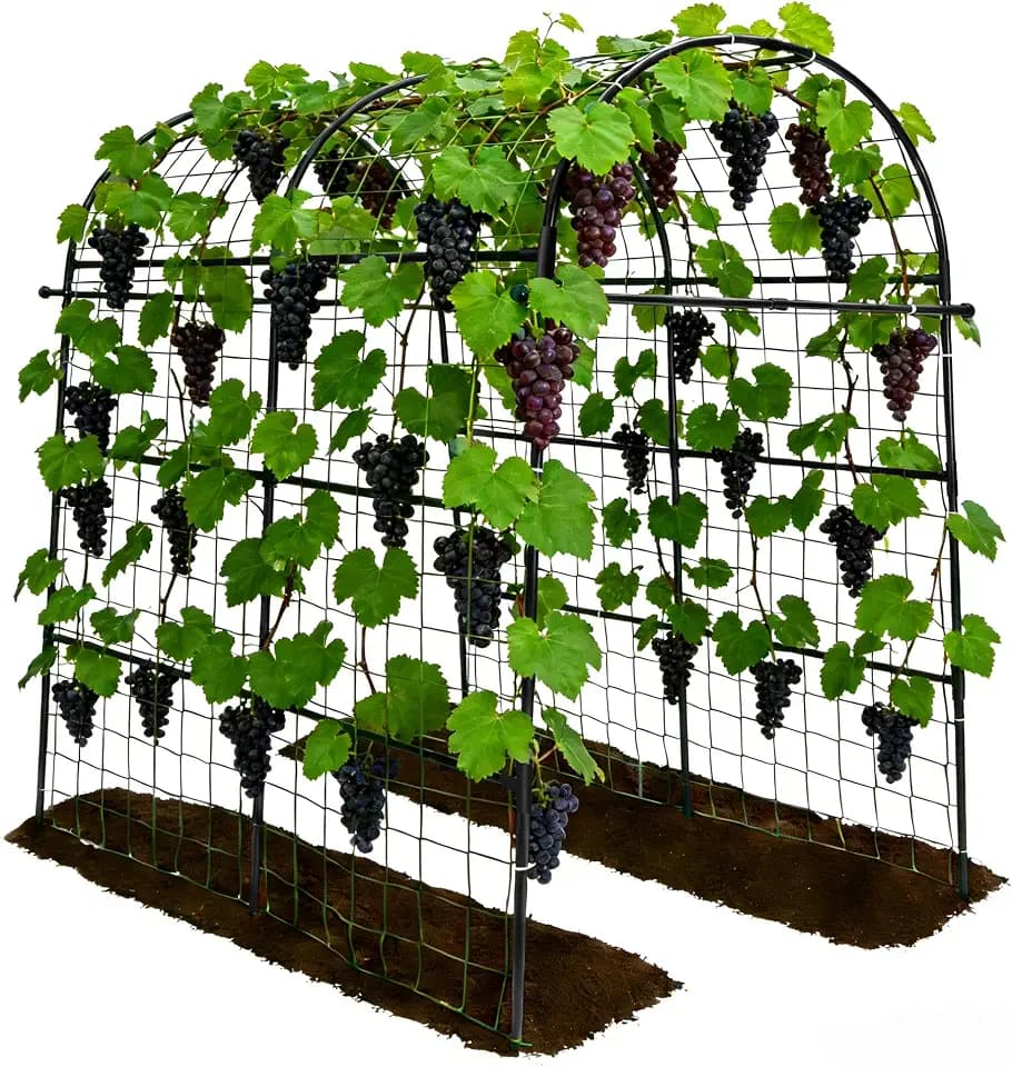Garden Arch Trellis for Climbing Plants Outdoor - 83" H*71" W*43" L (Black)