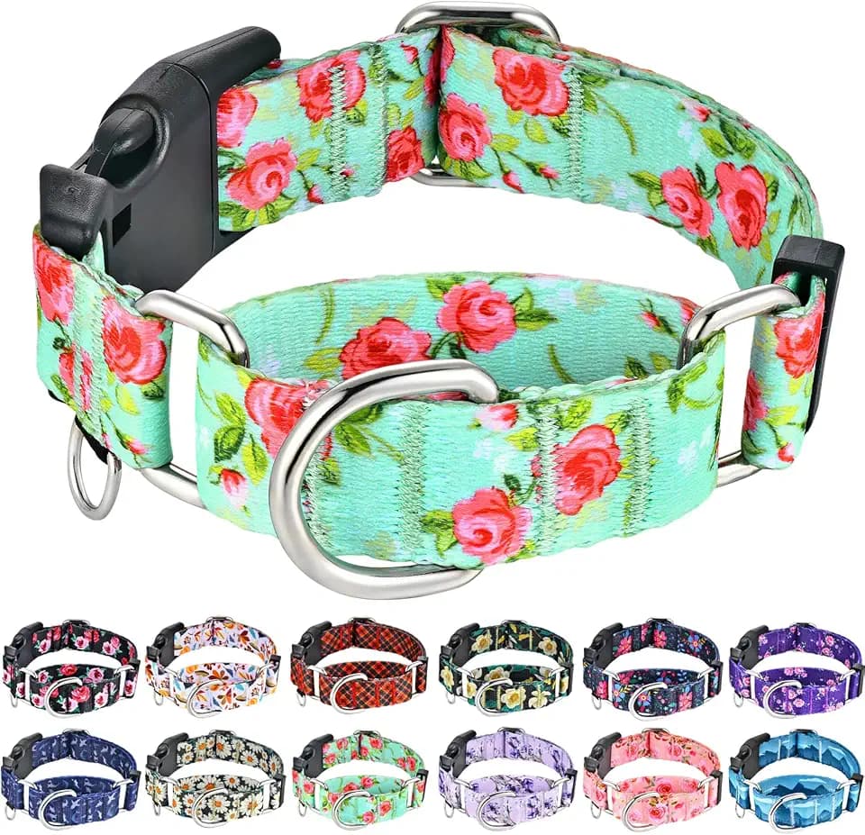 Martingale Collar for Dogs with Buckle No Pull, Green Floral, XL