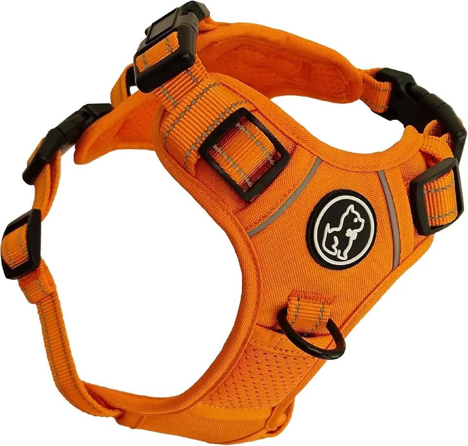 TruFit Comfort Dog Harness Adjustable Easy to Wear | No Pull Training | Chafing-Free | Safety Reflective | Comfortable Small Medium Large (Papaya Orange, XS - Regular Fit)