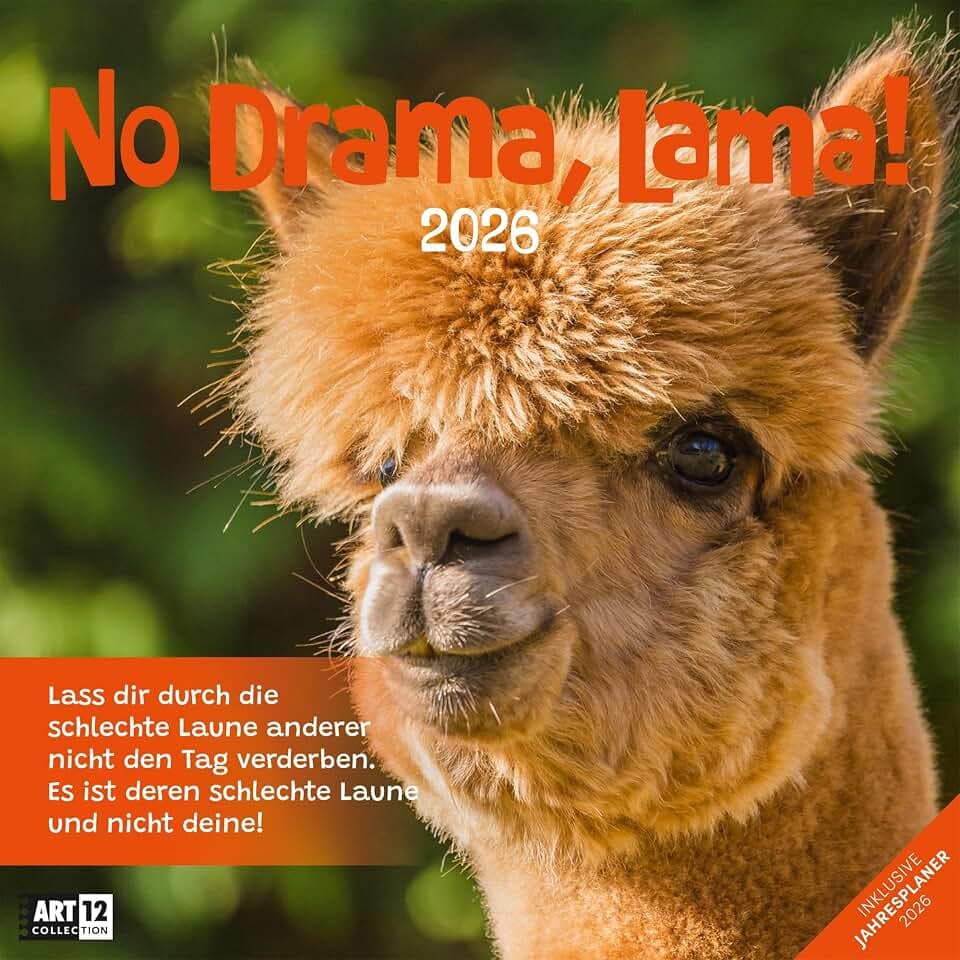 No Drama, Lama Broschürenkalender 2026 - 30x30 - Art12 | Humorvoller Tier-Kalender im schlanken Hochformat (aufgeklappt 30x60 cm) | zum Eintragen