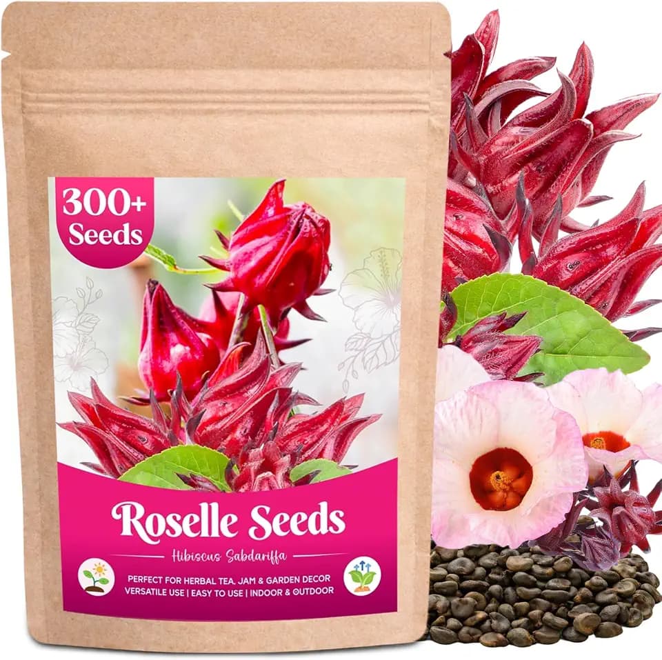 300+ Roselle Seeds for Planting, Hibiscus Sabdariffa (Jamaican Sorrel)