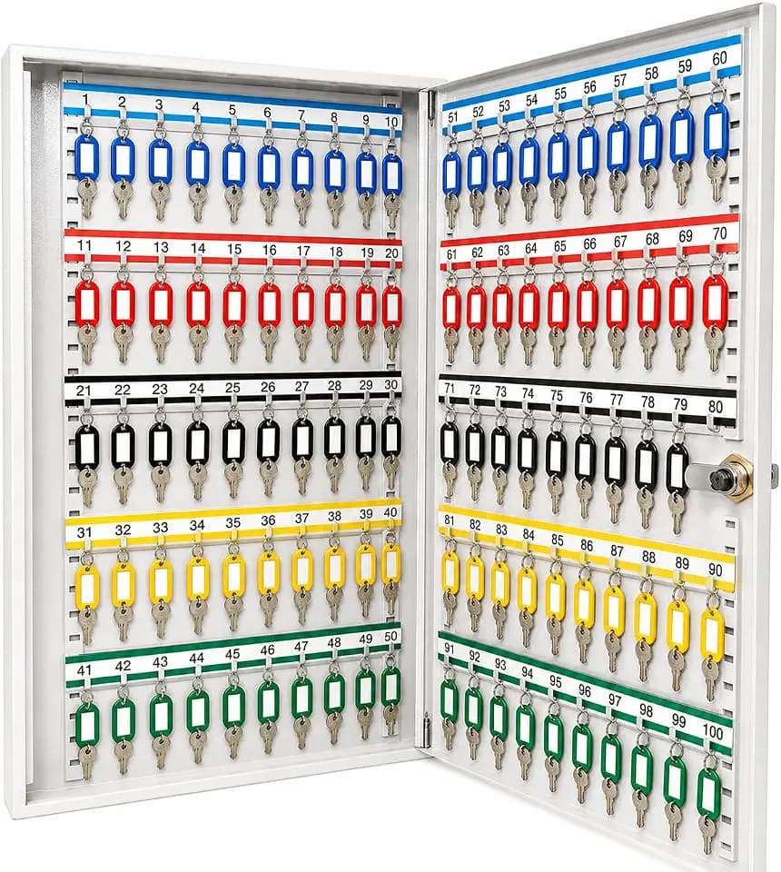 LEOMAR Schlüsselschrank mit 100 Haken, Schlüsselkasten aus Stahlblech, bewegliche Hakenleisten, abschließbar, Schlüsselbox zur Wandmontage, 6 x 35 x 52 cm