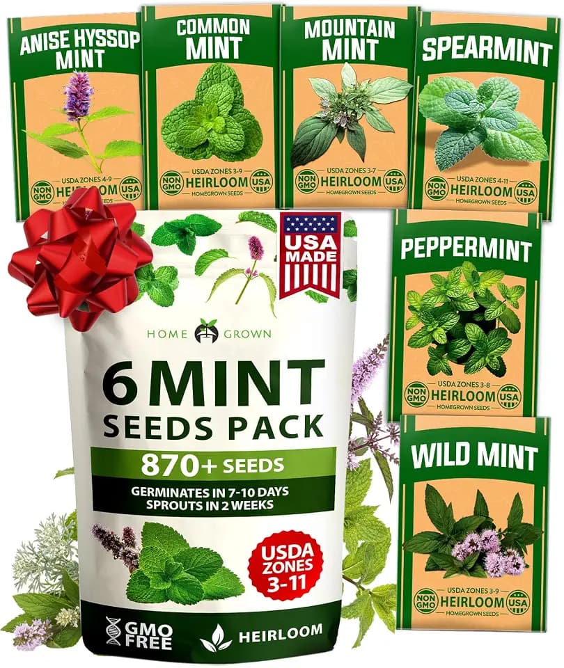 HOME GROWN Mint Seeds Variety Pack - 870+ Heirloom Non-GMO USA Peppermint, Spearmint & More - Herb Seeds for Planting Indoor Outdoor Garden - Fresh Mint for Tea & Cooking