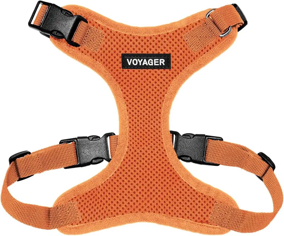 Best Pet Supplies Voyager Step-In Lock Haustiergeschirr – Allwetter-Netz, verstellbares Step-in-Geschirr für Katzen und Hunde – Orange, XS