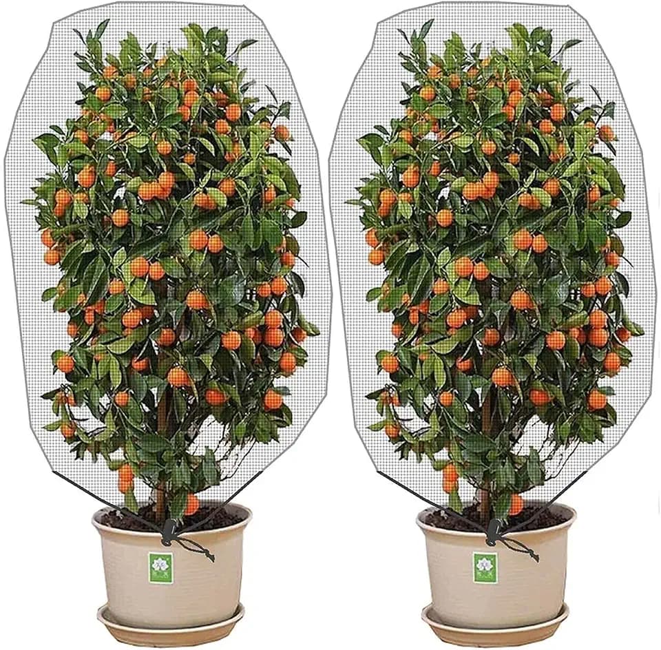 Alpurple 2 Pcs Insect Bird Barrier Netting Mesh with Drawstring- 4.9 x 3.2 Ft Garden Bug Netting Plant Cover- Fruit Tree Net for Protect Plant Fruits Citrus Flower from Insect Bird Eating