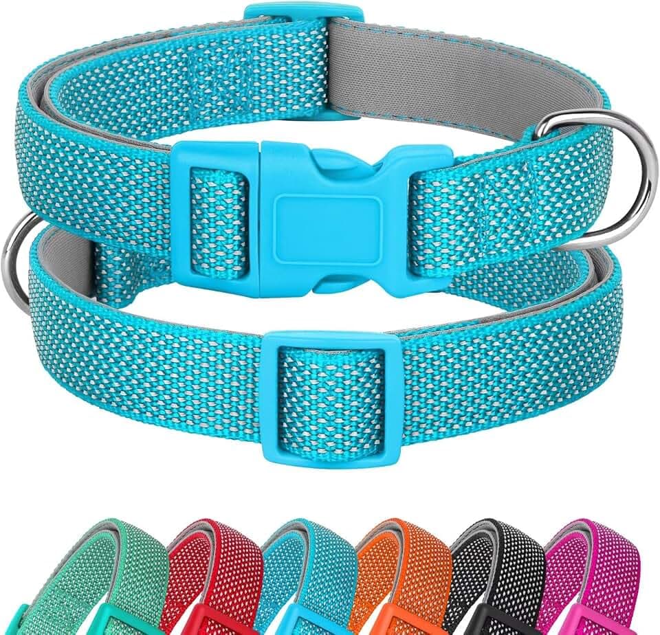 Didog Reflektierendes Hundehalsband mit Schnalle, verstellbar, weiches Neopren, gepolstert, Nylon, Haustierhalsbänder für kleine, mittelgroße und große Hunde, Blau, S