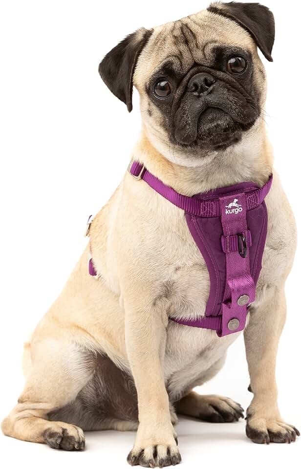 Kurgo TRU-Fit Autosicherheitsgeschirr für Hunde, Mit gepolstertem Brustteil und D-Ring, Mit Autogurt, Größe XS, Lila