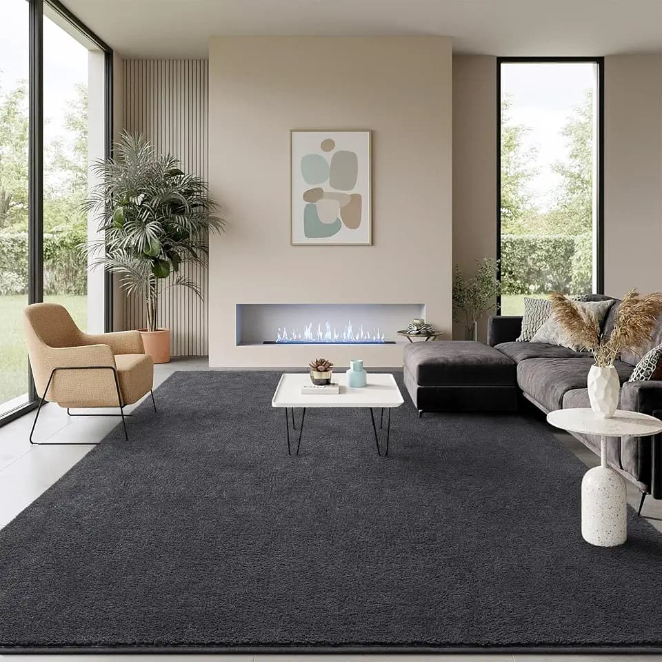 BENRON Soft Rugs for Living Room 5x7 Dark Grey, Area Rug for Bedroom Dorm