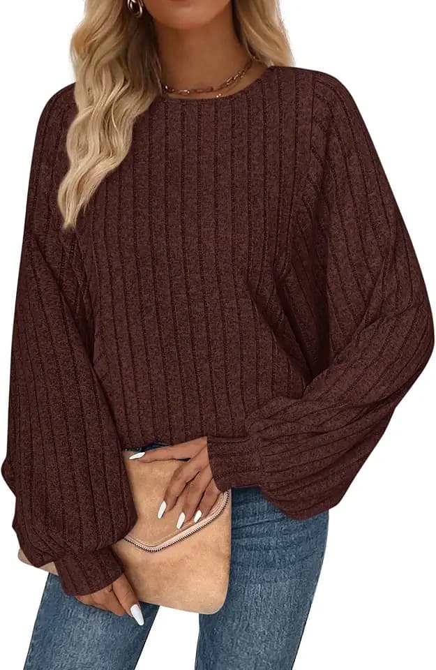PRETTYGARDEN Womens Lantern Sleeve Tops Fall Casual Loose Fit Tunic Sweater