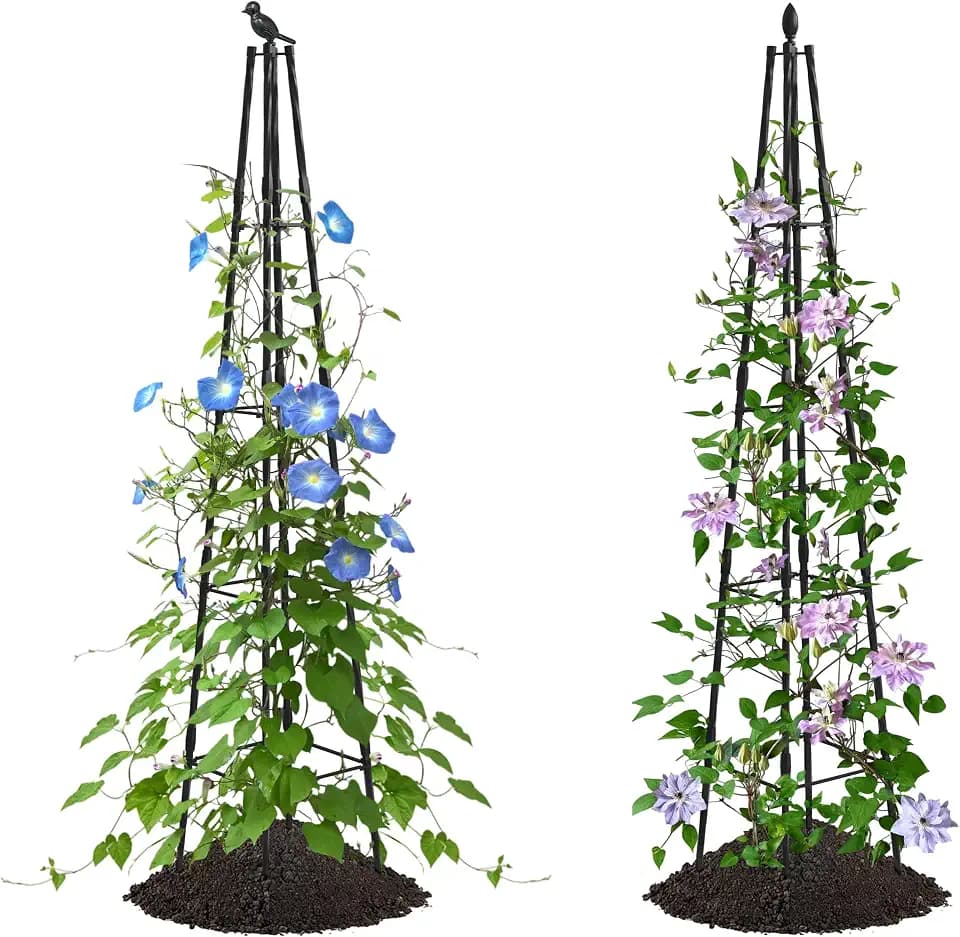 AlisisFores Garden Trellis, 63 inch Tall, 2 PCS