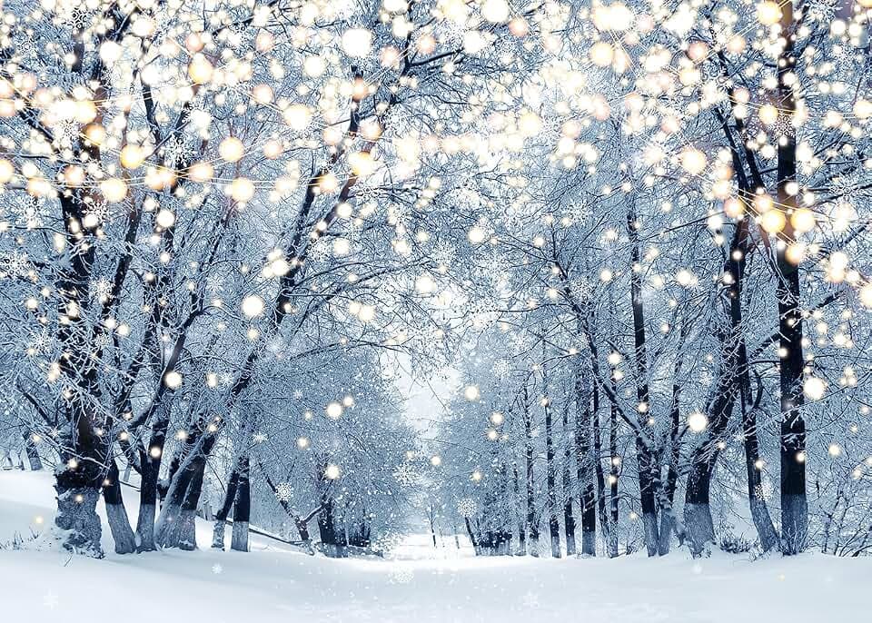 Winterszene Hintergrund für Fotografie, 3 x 2,4 m, Glitzer, weißer Schnee, Wald, Wunderland, Landschaft, Hintergrund für Familie, Weihnachten, Party, Dekoration, Weihnachten, Urlaub, Portrait,