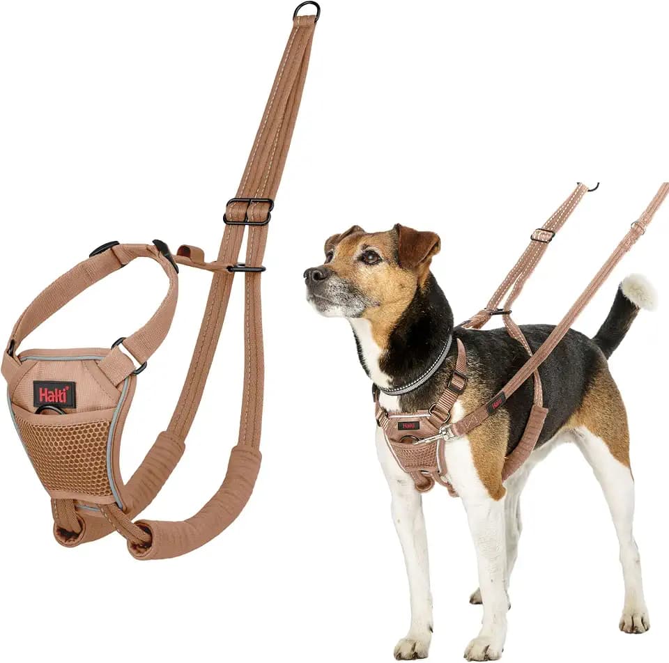 Halti No Pull Dog Harness | Size S, Desert Sand