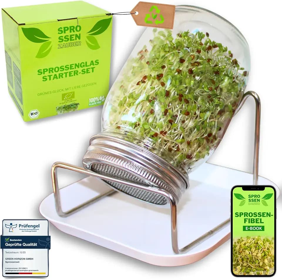 Green SEEDS Sprossenzauber® Sprossenglas 1er Set 500ml – Edelstahl-Deckel & Auffangschale – Sprossen selber ziehen – Keimglas für Brokkoli, Alfalfa, Kresse – Einsteiger-Set für frische Microgreens