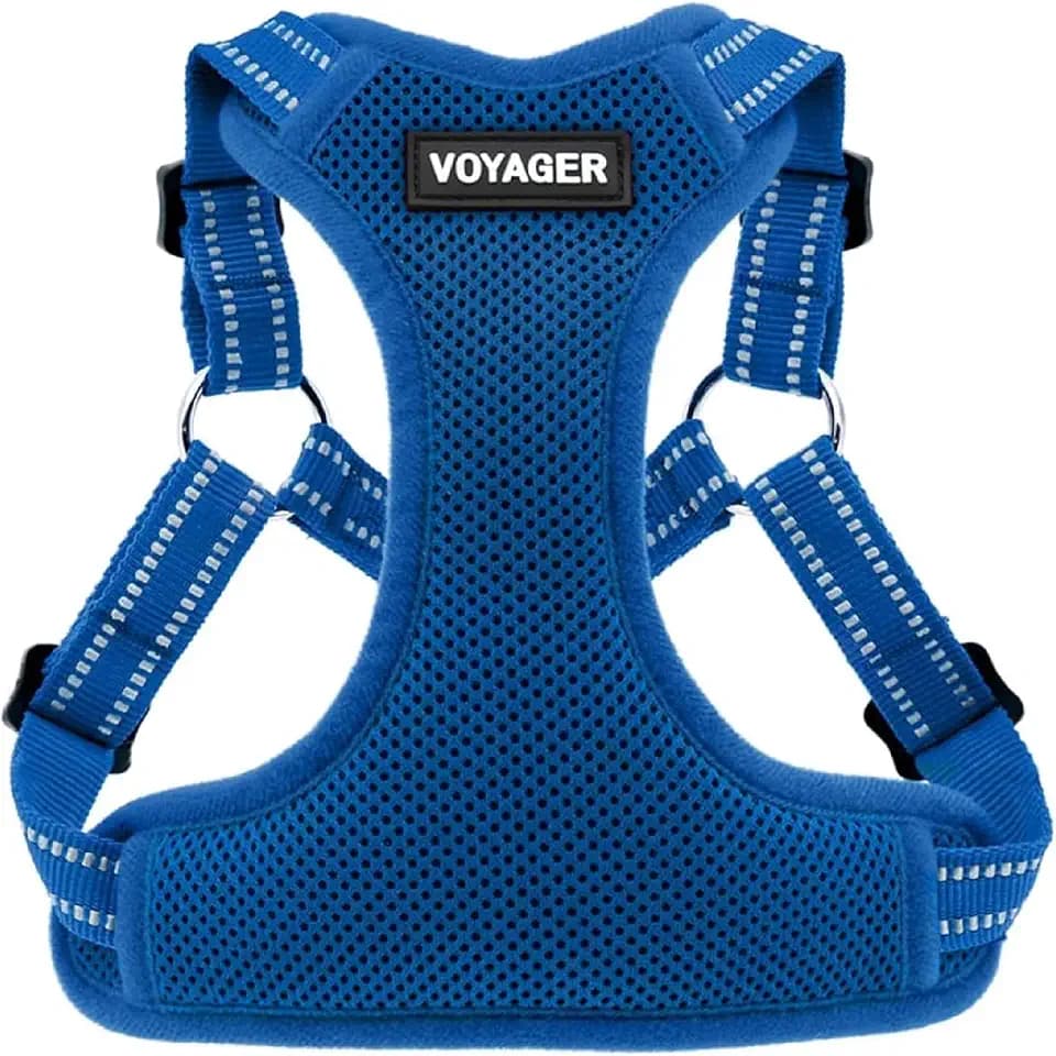 Voyager Step-in Flex Adjustable Dog Harness - Royal Blue, Small