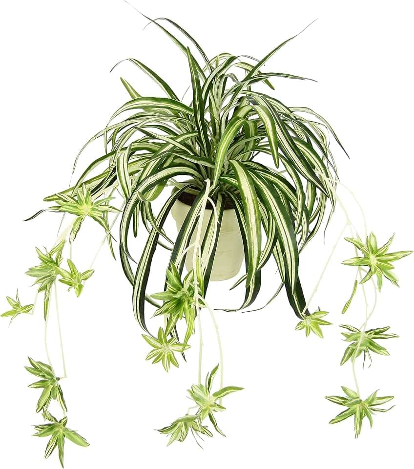Künstliche Grünlilie im Topf Kunstpflanze Chlorophytum Grünpflanze Seidenpflanze Wasserlilie Spinnenpflanze Spinnenlilie Hängend Hängepflanze Zimmerpflanze Unechte Hochzeit Deko, Grün/Weiß, 36x46cm