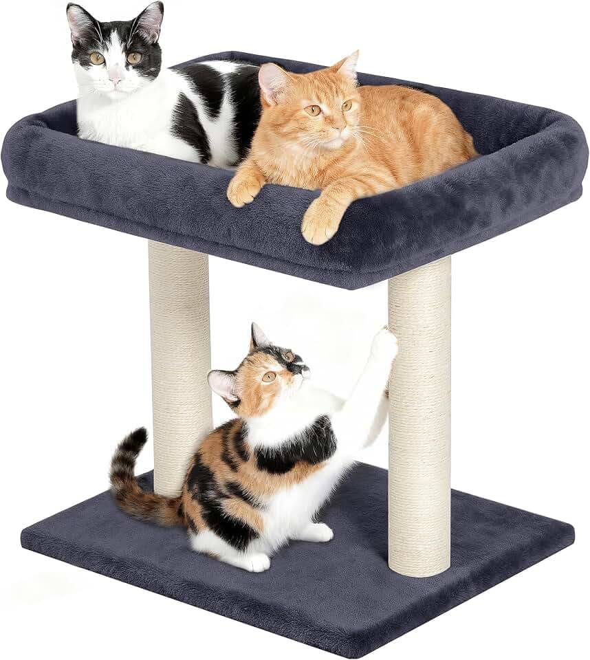 19" Small Cat Tree with Scratching Post for Indoor Cats with Perch