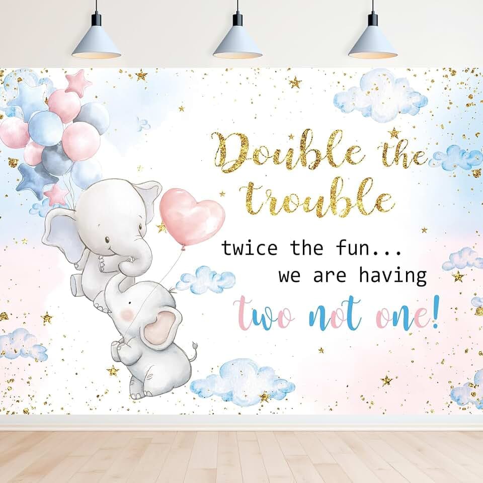 Baby Shower Gender Reveal Blue Pink Double Trouble Photography Backdrop