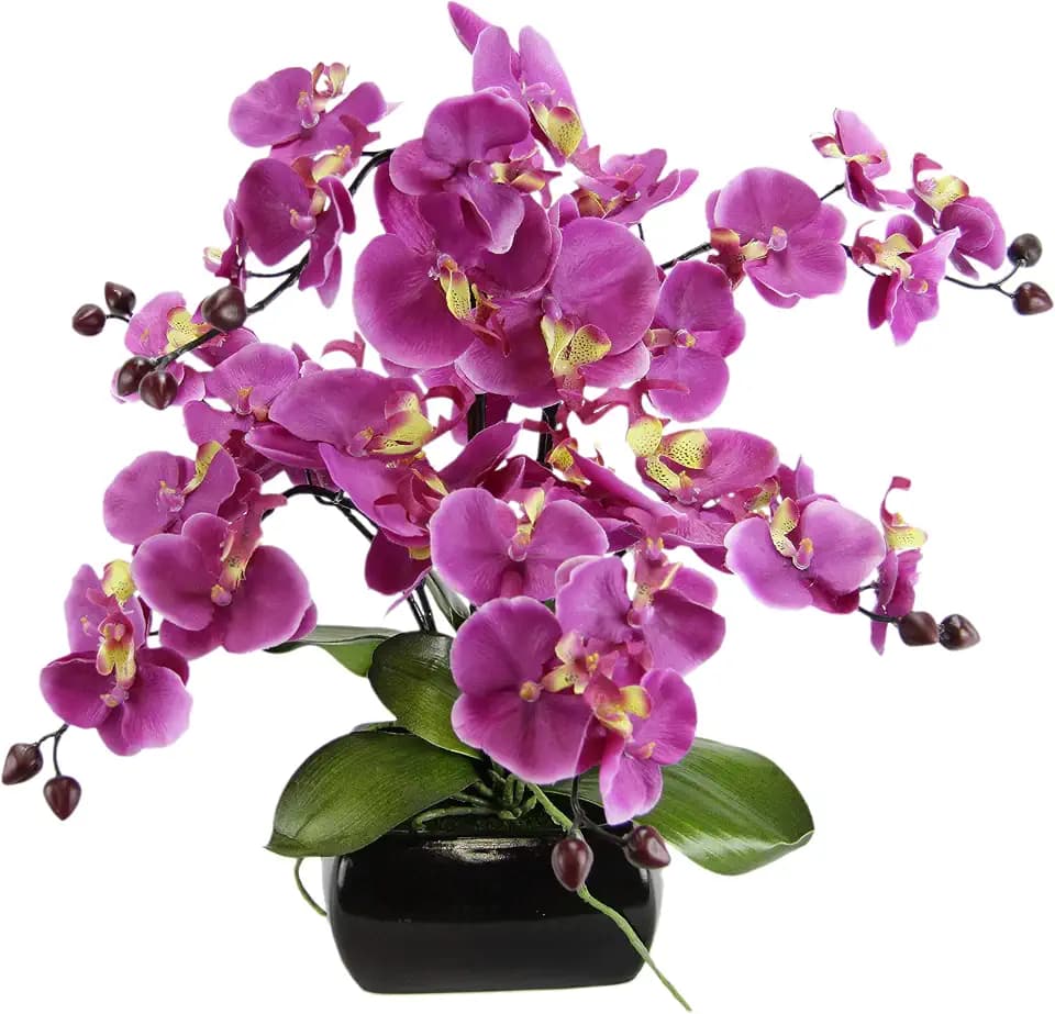 Kunstblume Schmetterling Orchidee mit Blätter und Luftwurzeln in Schale aus Keramik Künstliche Blume Kunstorchidee Phalaenopsis mit Übertopf Kunstpflanze Hochzeit Deko Seidenblume Real Touch Blüte
