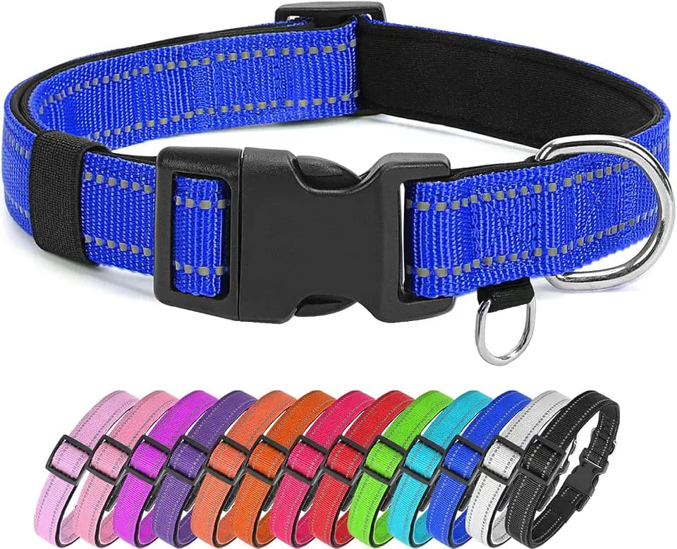 Reflective Nylon Dog Collar for Medium Dogs, Neoprene Padding,Blue