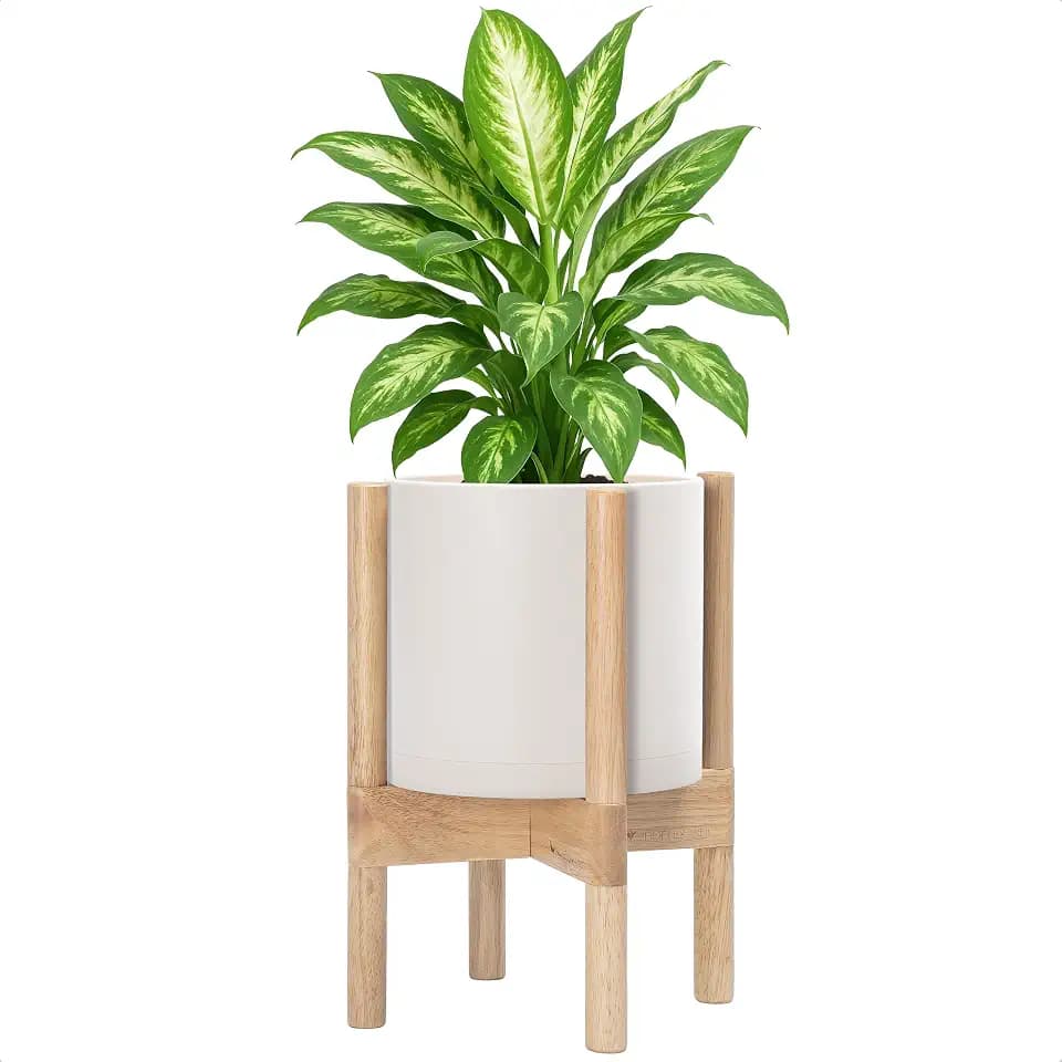 D'vine Dev Plastic Pot with Natural Wood Stand, Oatmeal, 8 in, 55-C-J-4