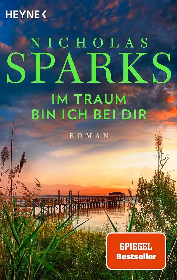 Im Traum bin ich bei dir: Roman