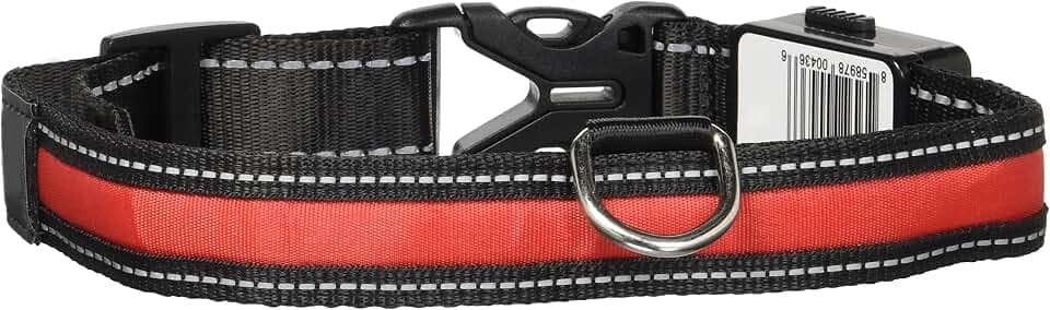 Cesar Millan Original Bright Light Collar LED Hundehalsband USB Sollar, Größe M