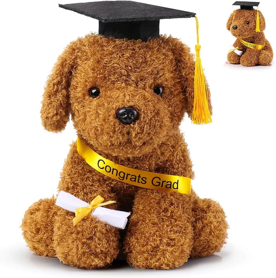 Chalyna 10'' Graduation Season Dog Preschool Plush Stuffed Animal, Black