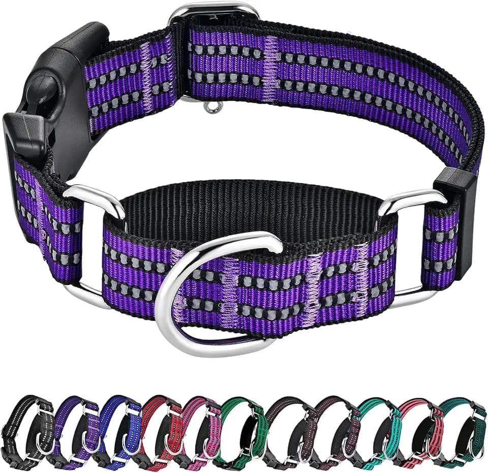 Martingale Collar for Dogs,Reflective Escape Proof,Purple XL