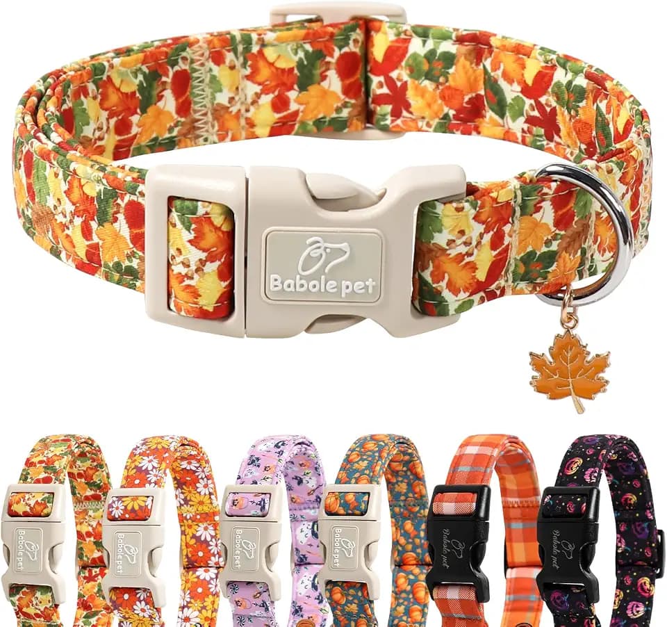 Fall Dog Collar Cute Autumn Leaves Puppy Collar - Light Comfortable Adjustable Pet Collars for Small Medium Large Girl Boy Dogs XL